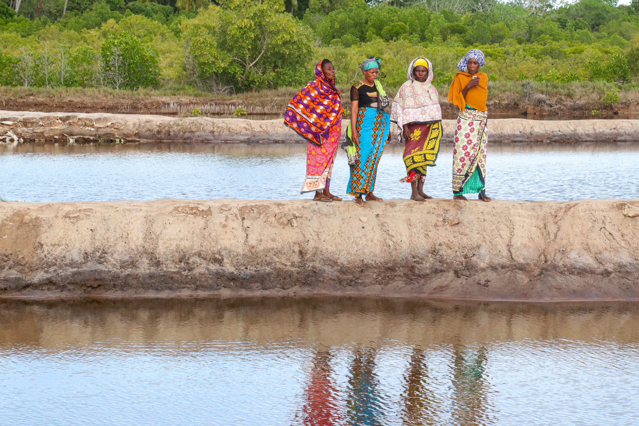 Four women in colourful clothing stand on the bank of an artificial pond