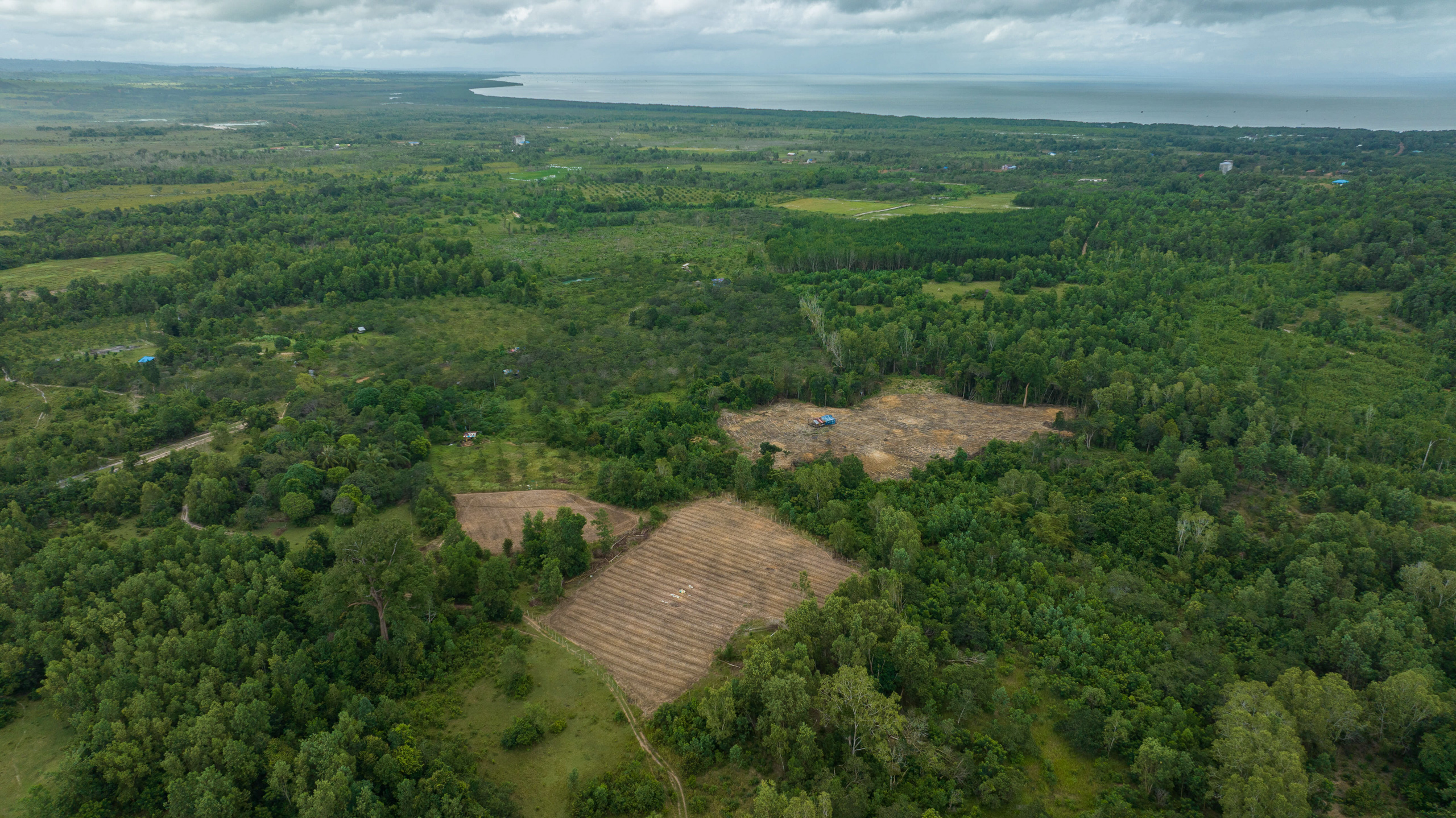 Aerial view of partially deforested landscape