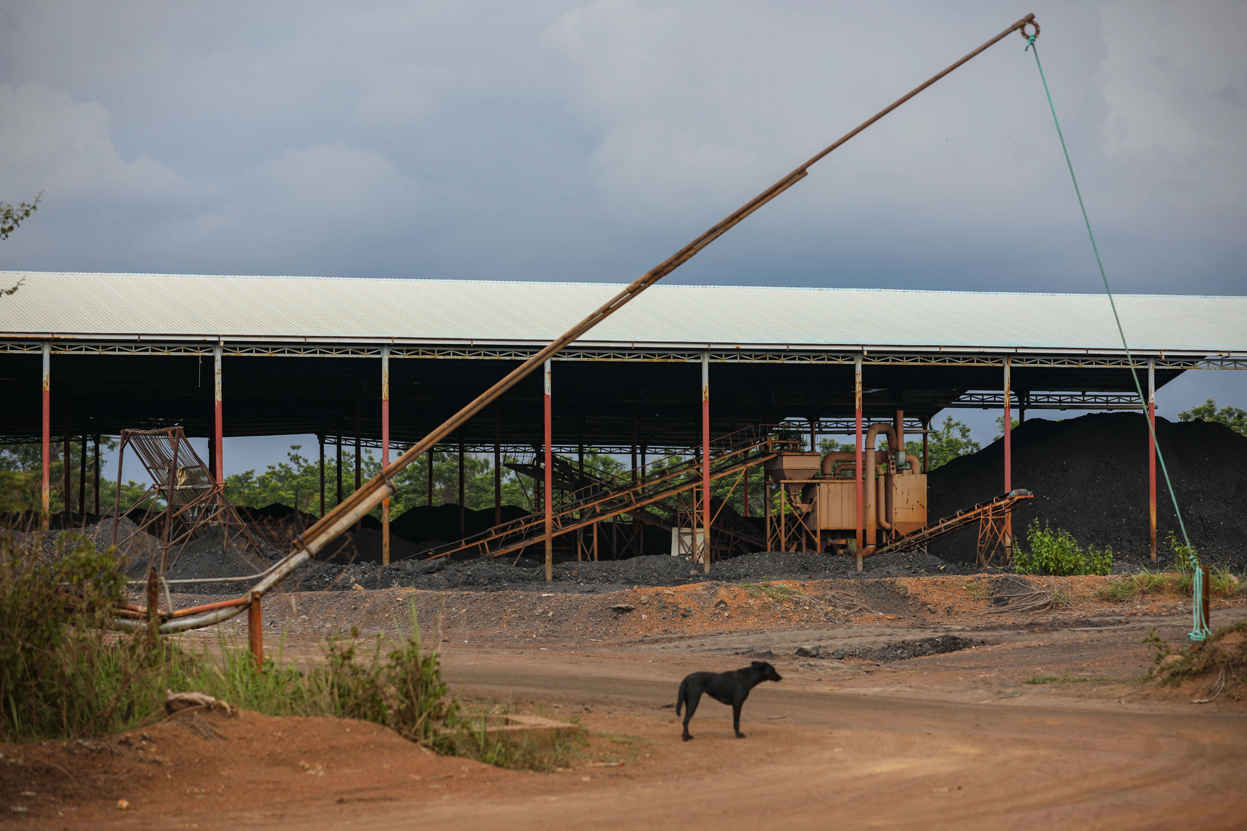 A dog stands in front of a gate leading to a partially covered warehouse containing mounds of black material