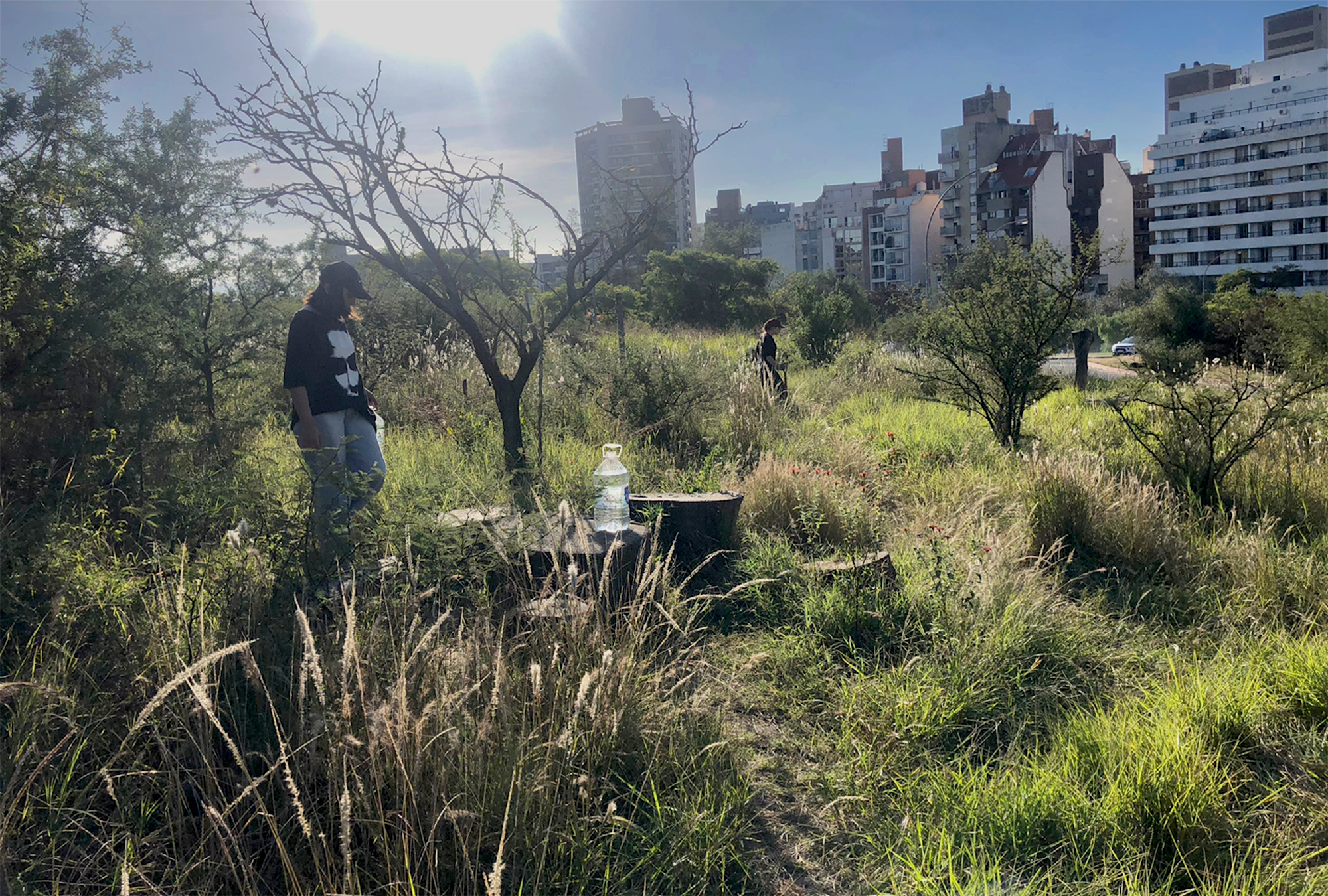 Personas tomando una clase en una zona con vegetación