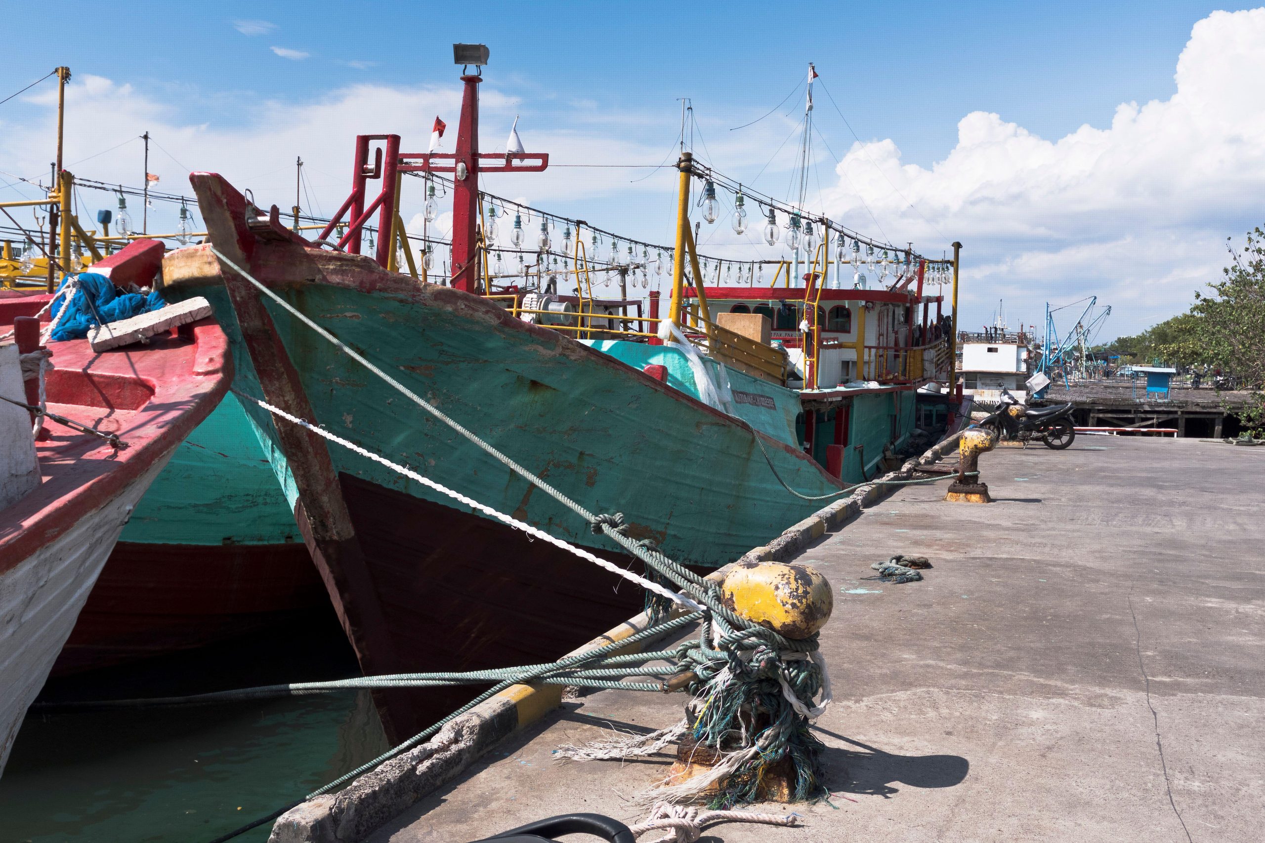 <p>停靠在巴厘岛贝诺瓦港的金枪鱼渔船。该港口是印度尼西亚四个符合PSMA要求的港口之一。图片来源：Doug Houghton / Alamy</p>