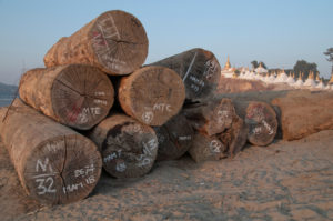 <p>Hardwood logs for export from Myanmar&#8217;s city of Mandalay – both the military junta and its opponents depend upon logging to finance their operations (Image: Julio Etchart / Alamy)</p>