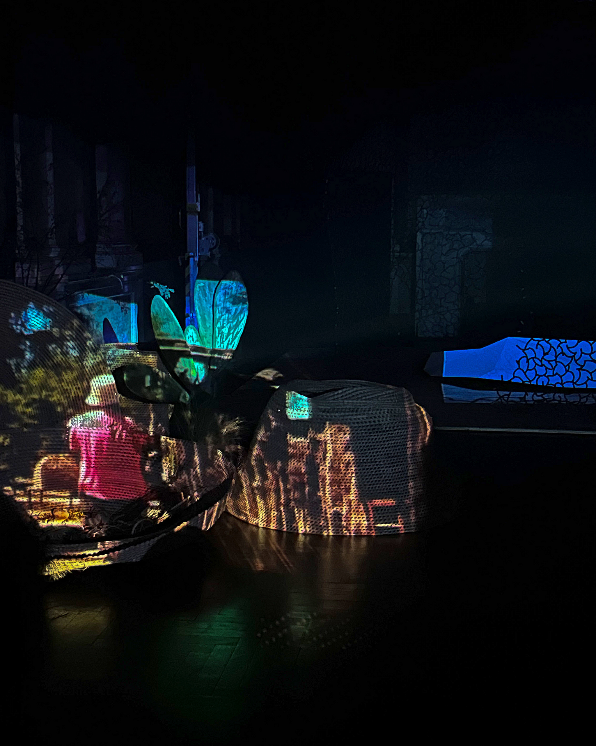 An immersive experience of lights and artworks