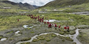 <p>Un grupo de personas se dirige a plantar <em>queñuales</em> (Polylepis) cerca del pueblo de Vilcanota, en la región de Cusco, Perú. Para algunos grupos de los Andes, las actividades comunales en torno a la plantación son tradiciones ancestrales. (Imagen: Acción Andina)</p>