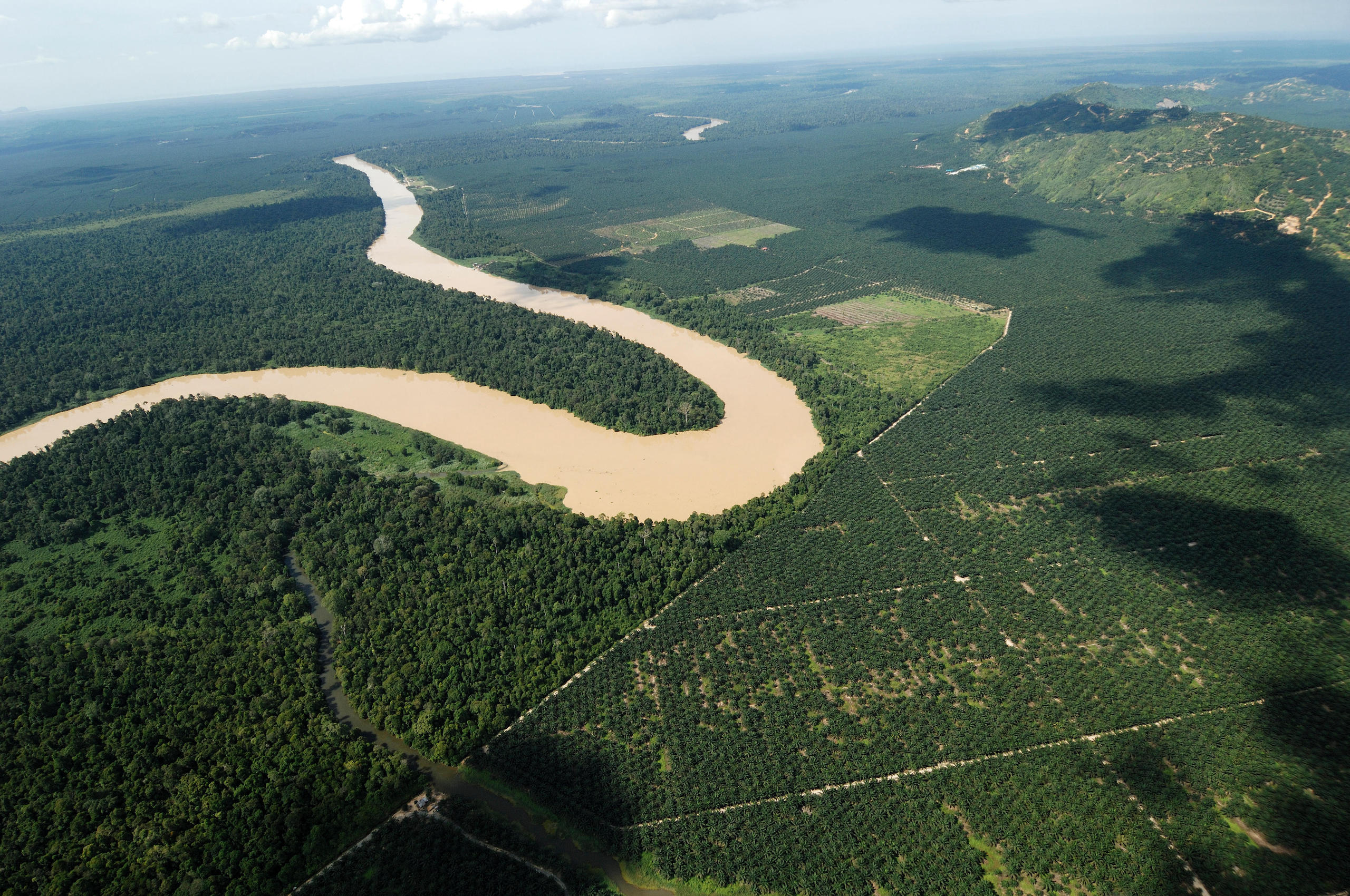 Aerial view of a river bend surrounded by rainforest and crop plantations