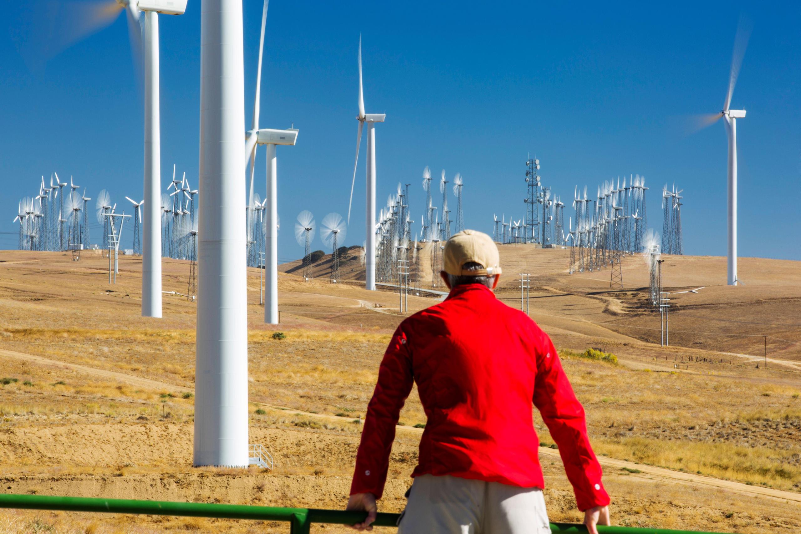 a person standing in front of a field of windmills