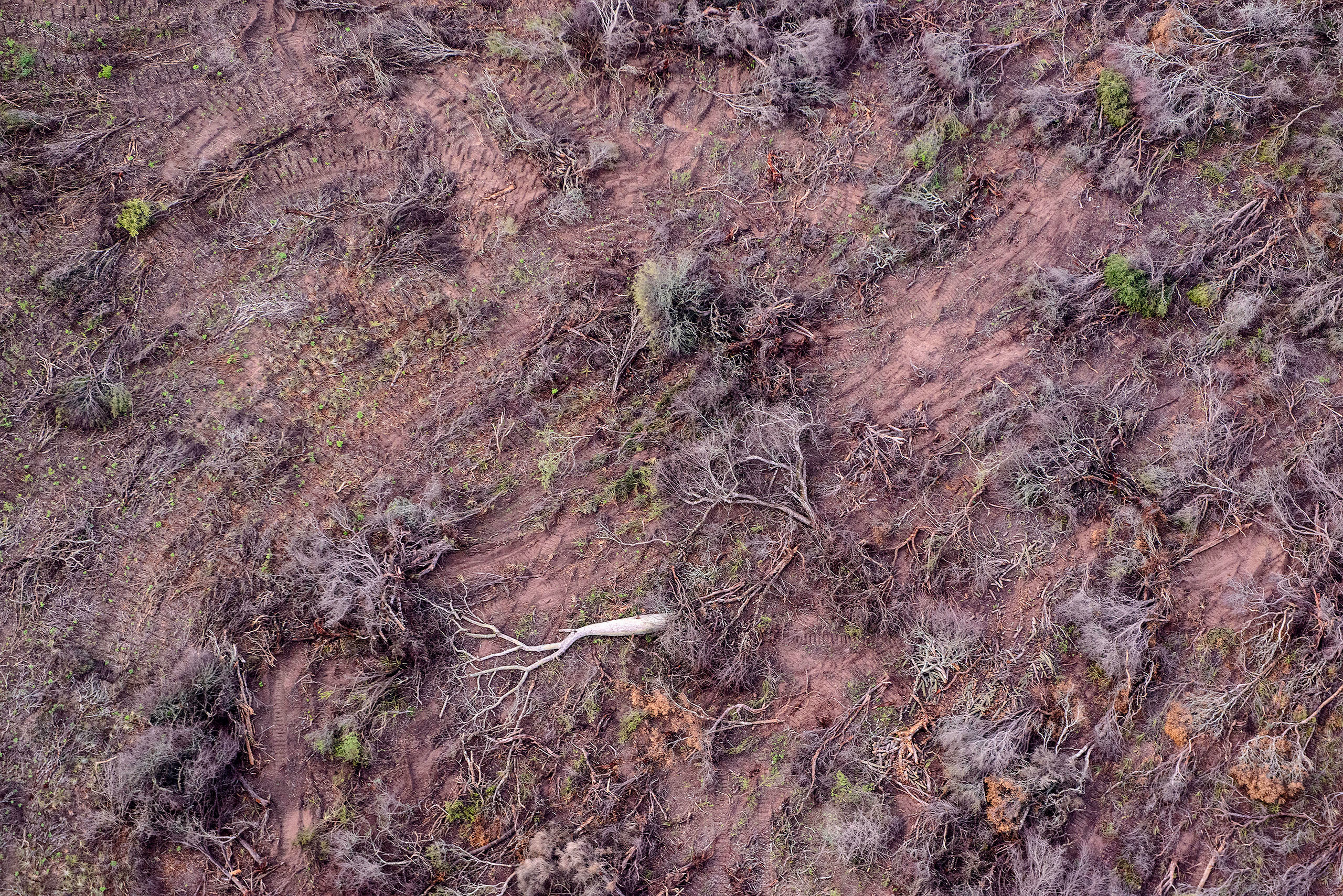 overhead view  of land cleared of trees and shrubs