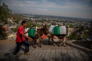 <p>Un hombre utiliza burros para transportar galones de agua tras la escasez de 2021 en el barrio de Xochimilco, Ciudad de México. Los expertos calculan que, para 2028, no habrá agua corriente en los hogares de la capital mexicana (Imagen: Jair Cabrera Torres / Alamy)</p>