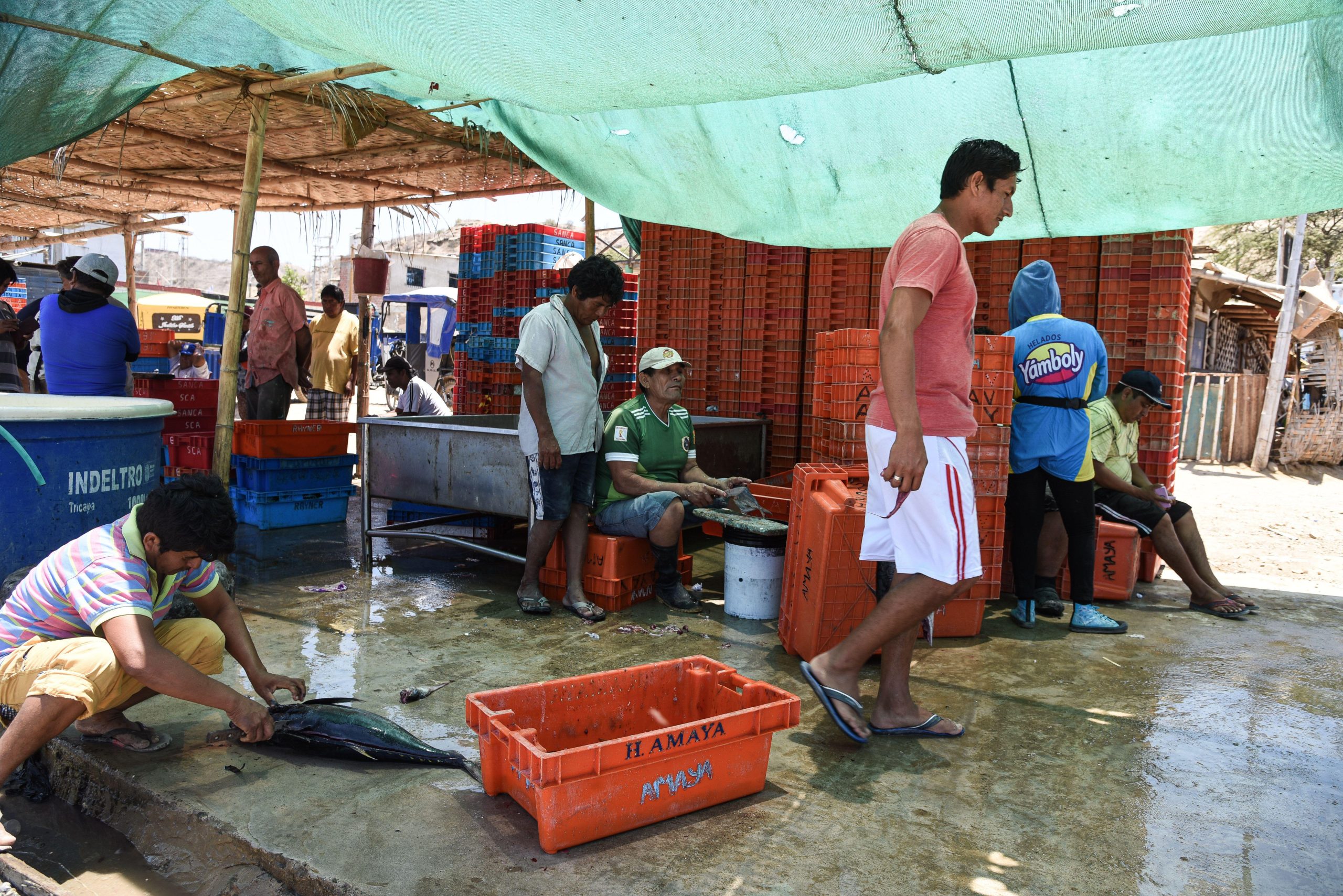 Mercado de peixes de Cancas em Tumbes, norte do Peru