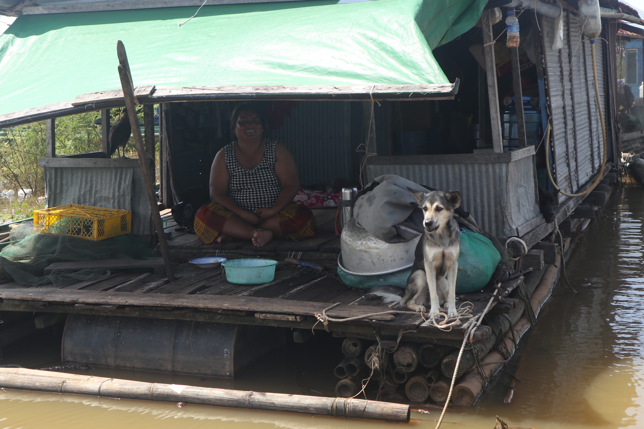 A woman and dog looking out from the front door of a small makeshift house