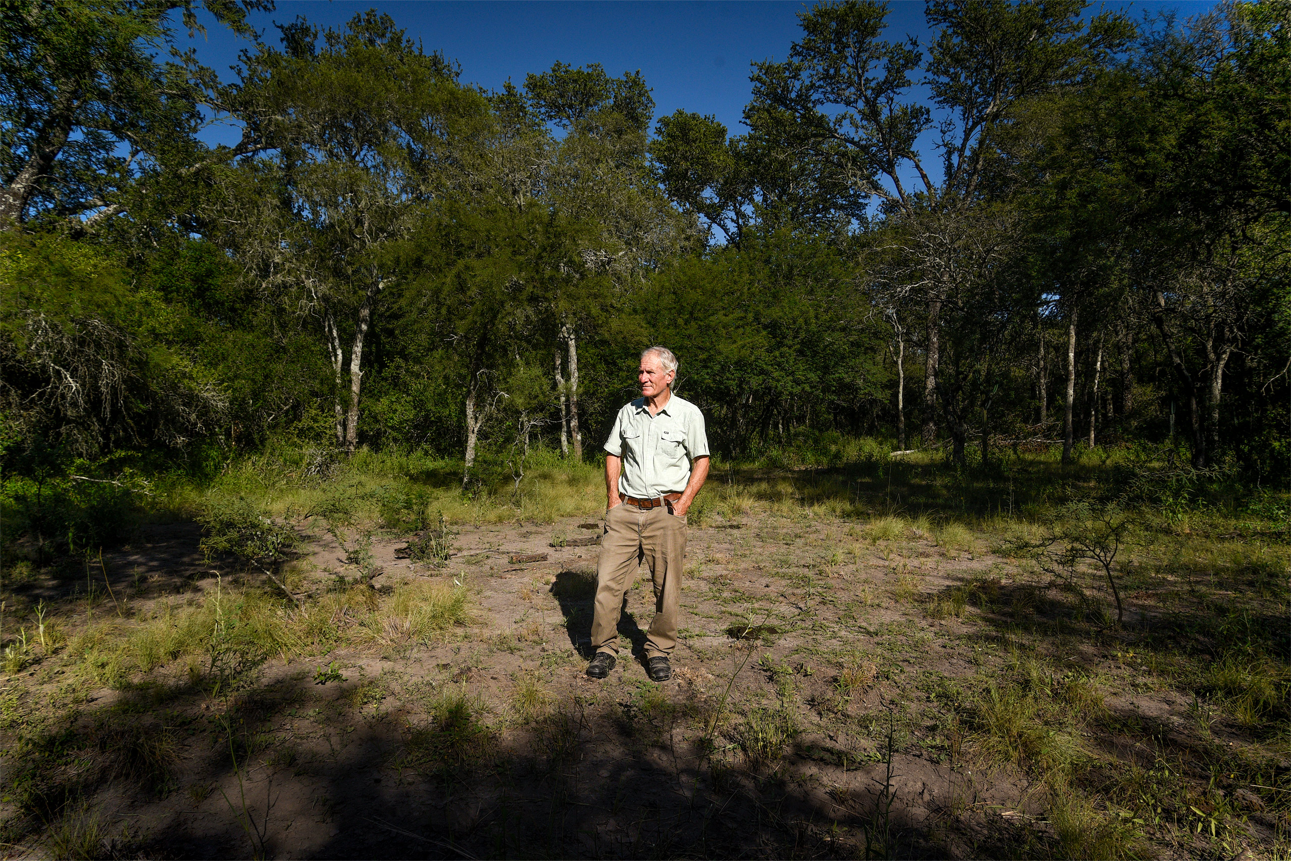 a man standing in a forest clearing