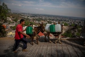<p>Homem conduz burros que carregam água no bairro de Xochimilco, na Cidade do México, na seca de 2021. De acordo com especialistas, as casas da capital mexicana pode ficar sem abastecimento de água potável a partir de 2028 (Imagem: Jair Cabrera Torres / Alamy)</p>