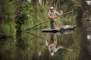 A farmer navigates through the water canals