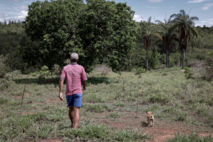 Un hombre caminando junto a un perro en una zona con vegetación y árboles
