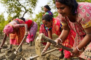 <p>November 2023. Indian women are seen digging with shovels in a mangrove plantation in the Sundarbans, the world&#8217;s largest mangrove forest, where the effects of climate change are already visible (Image: Alamy)</p>
