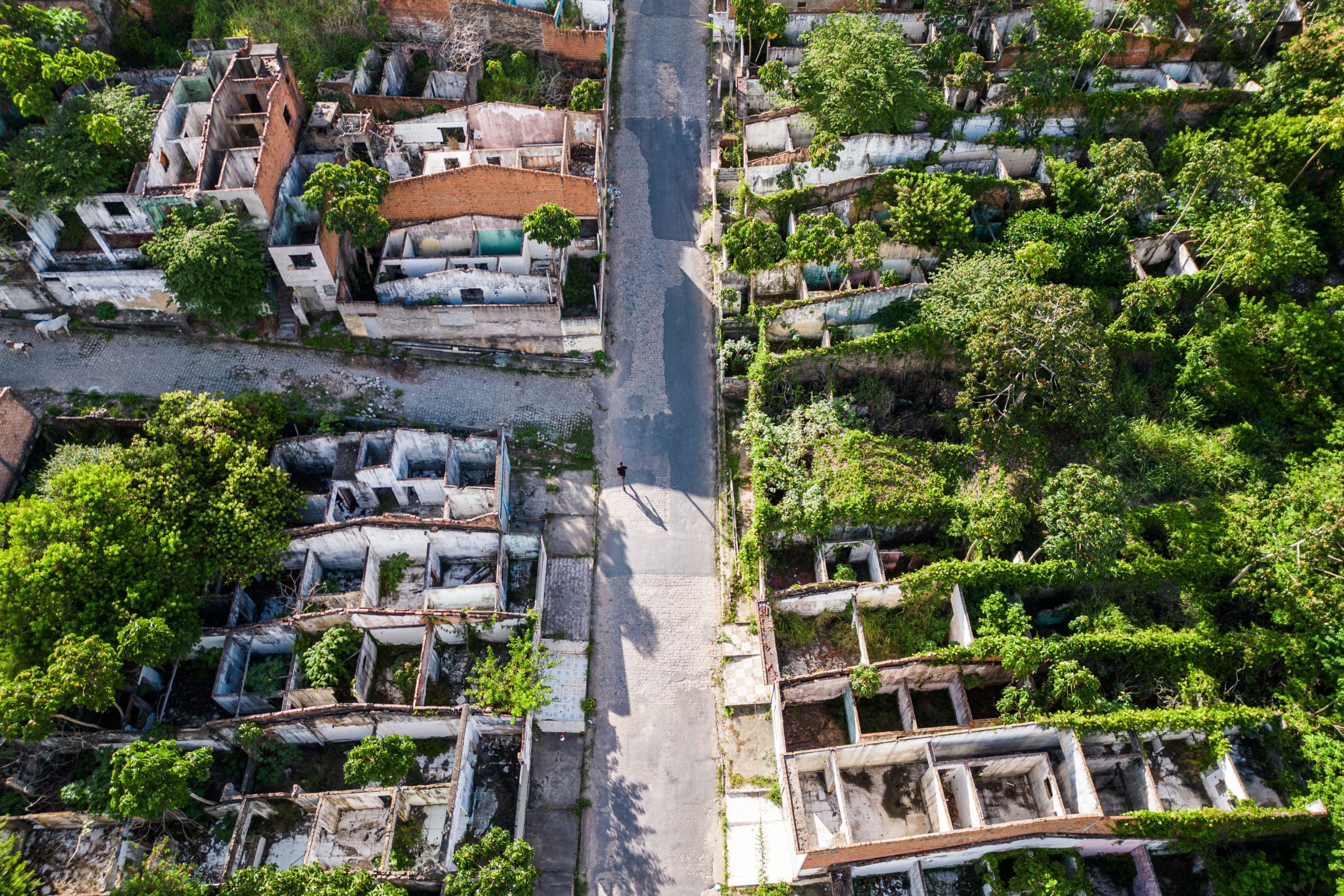 Casas abandonadas no bairro de Bebedouro, em Maceió