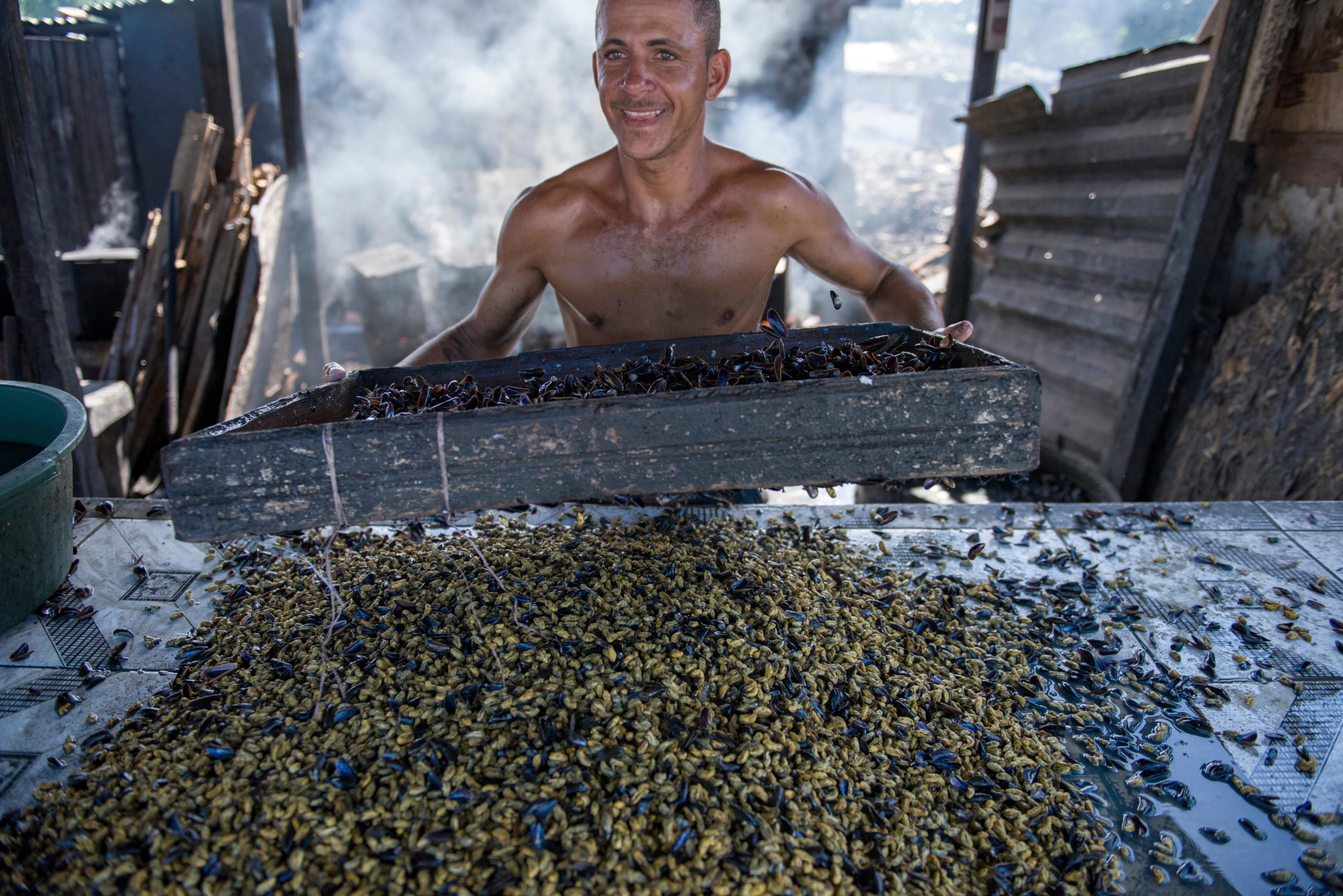 Hombre sonriendo tamizando y limpiando almejas