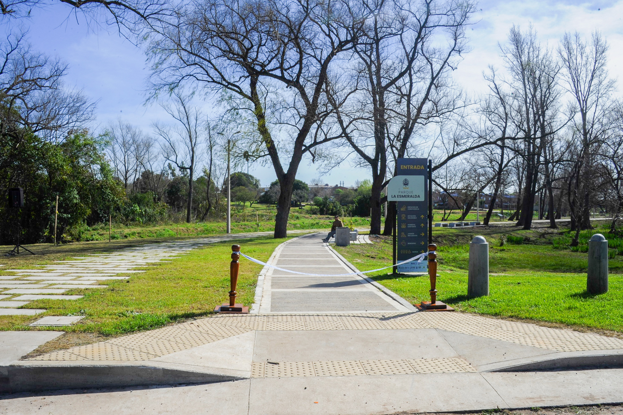 concrete pathways bordered by grass, passing between leafless trees