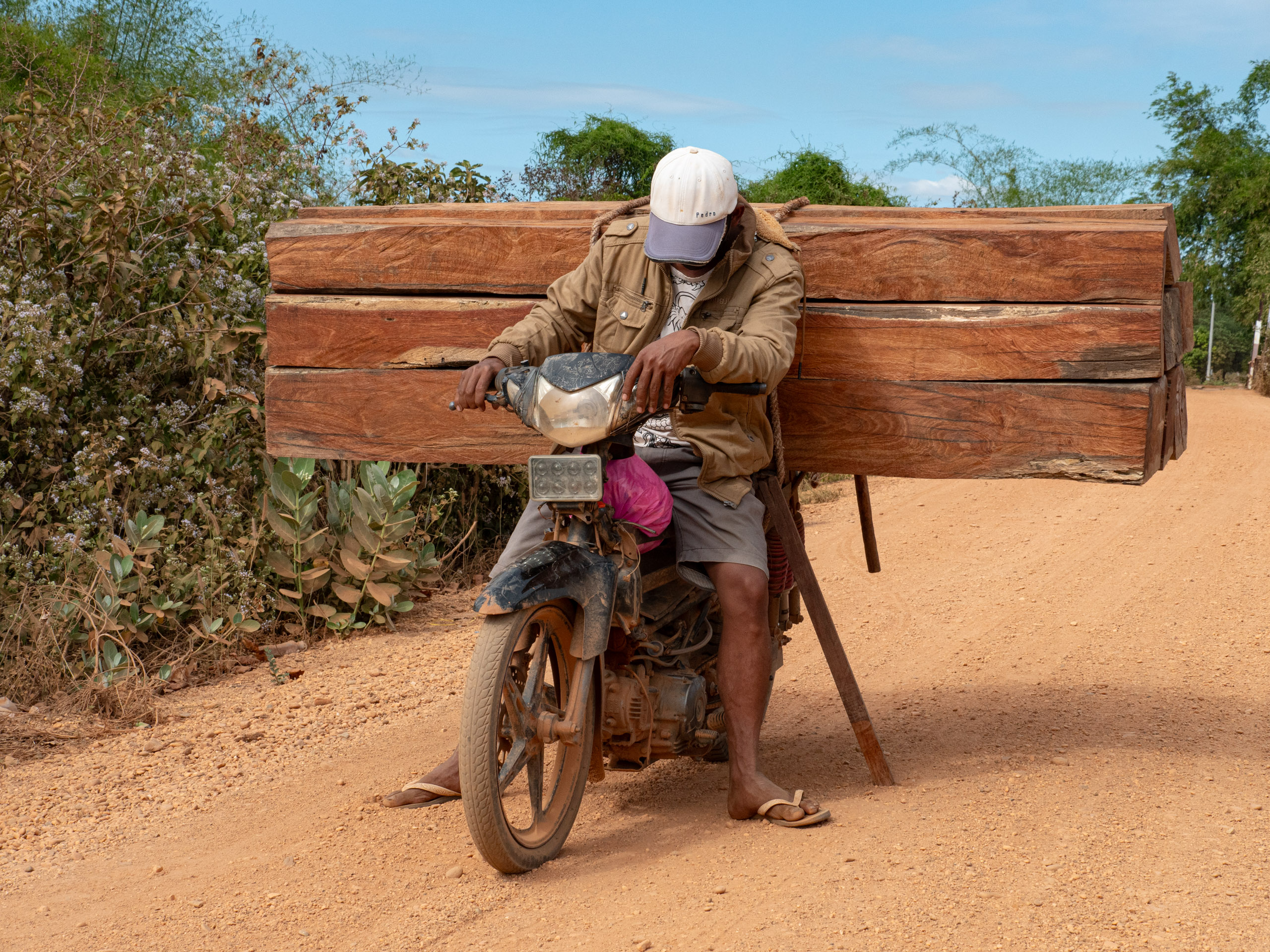 <p>A middleman hauls timber near Prey Lang Wildlife Sanctuary, eastern Cambodia, to service the 18% annual interest on his microloan debt (Image: Jack Brook)</p>