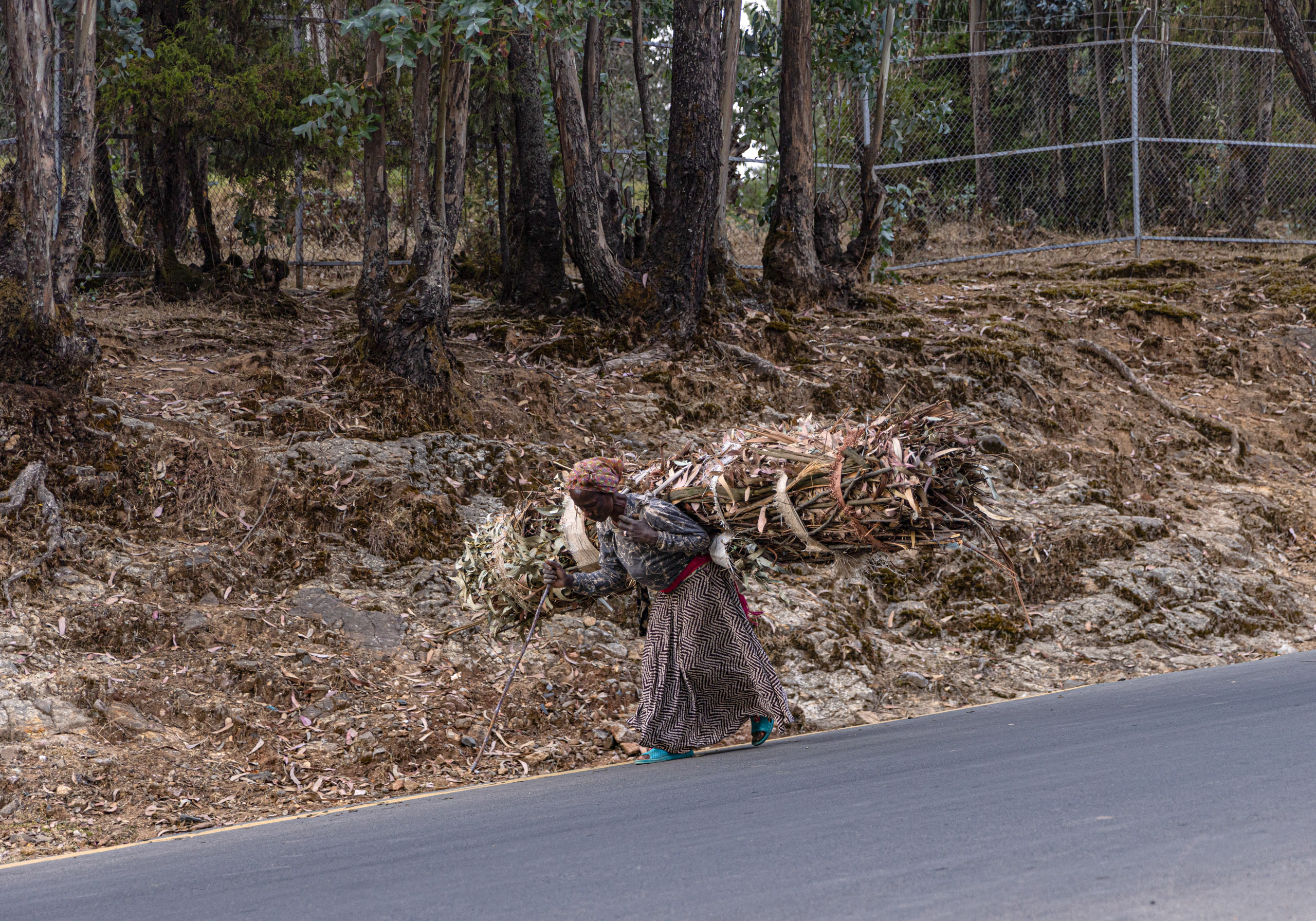 woman on roadside carrying firewood