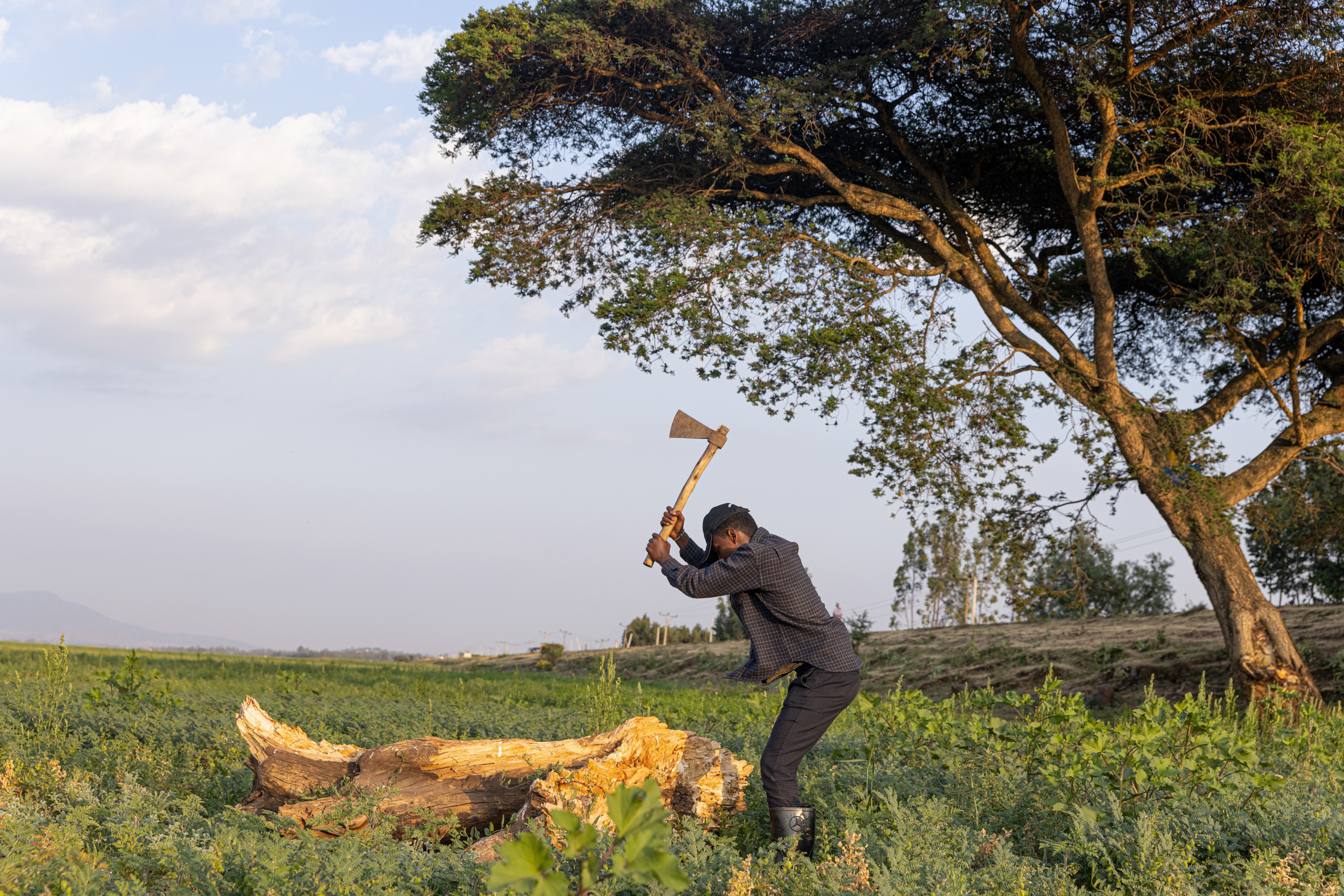 man chopping loog with axe