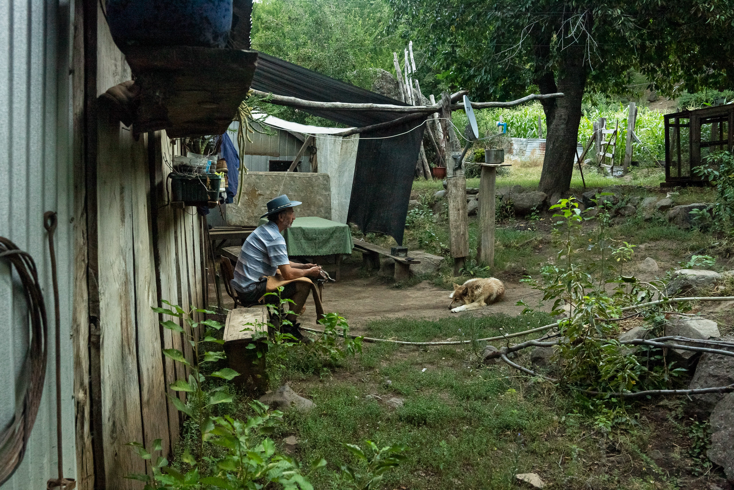 seated man and resting dog outside wooden house