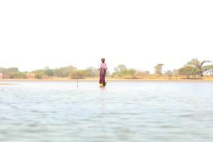 <p>Clemencia Ndene picking cockles in Palmarin, Senegal (Image: <a href="https://www.instagram.com/karozenphotographe">Karo Zen</a> / Dialogue Earth)</p>
