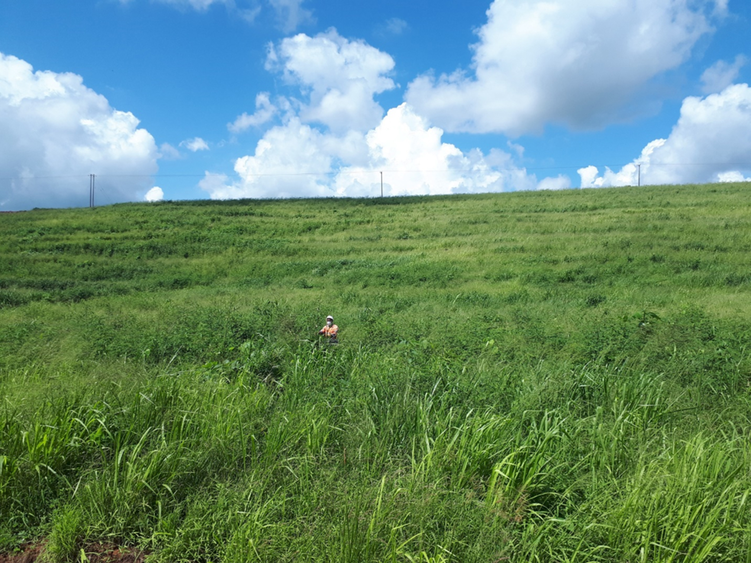 barely visible man standing in wide open field of grass on cloudy day