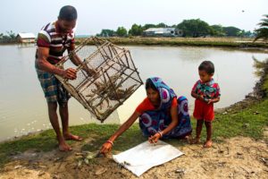<p>बंगाल के डेल्टा क्षेत्र के पानी और मिट्टी में लवण की मात्रा बढ़ने से खेती के गैर-लाभकारी होने के कारण भारत और बांग्लादेश, दोनों देशों में झींगा पालन को उचित विकल्प माना गया है। (फोटो: एडब्ल्यूएम अनिसुज्जमन / अलामी)</p>