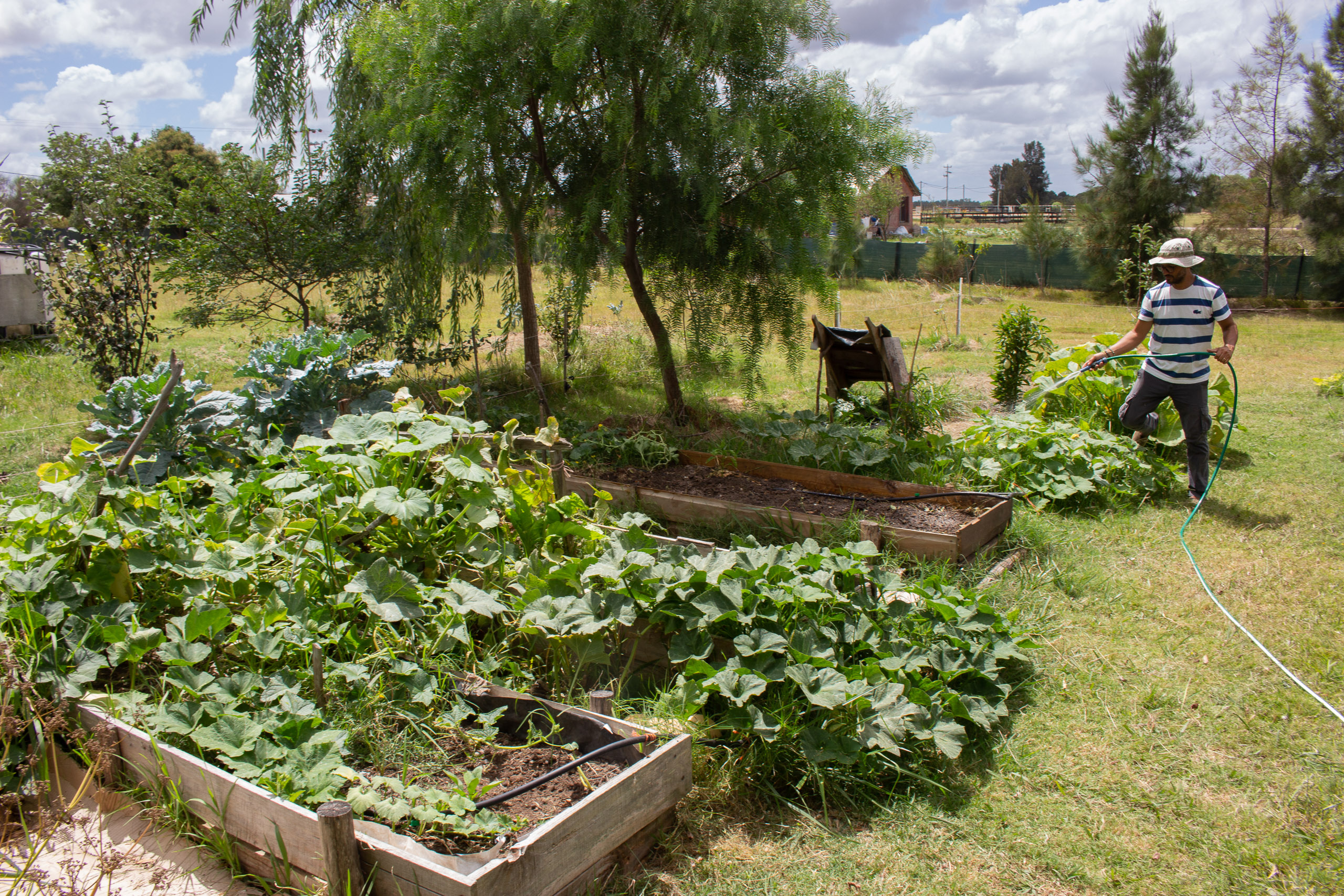 Gabriel de Souza, professor de biologia, rega sua horta orgânica em Sosa Díaz