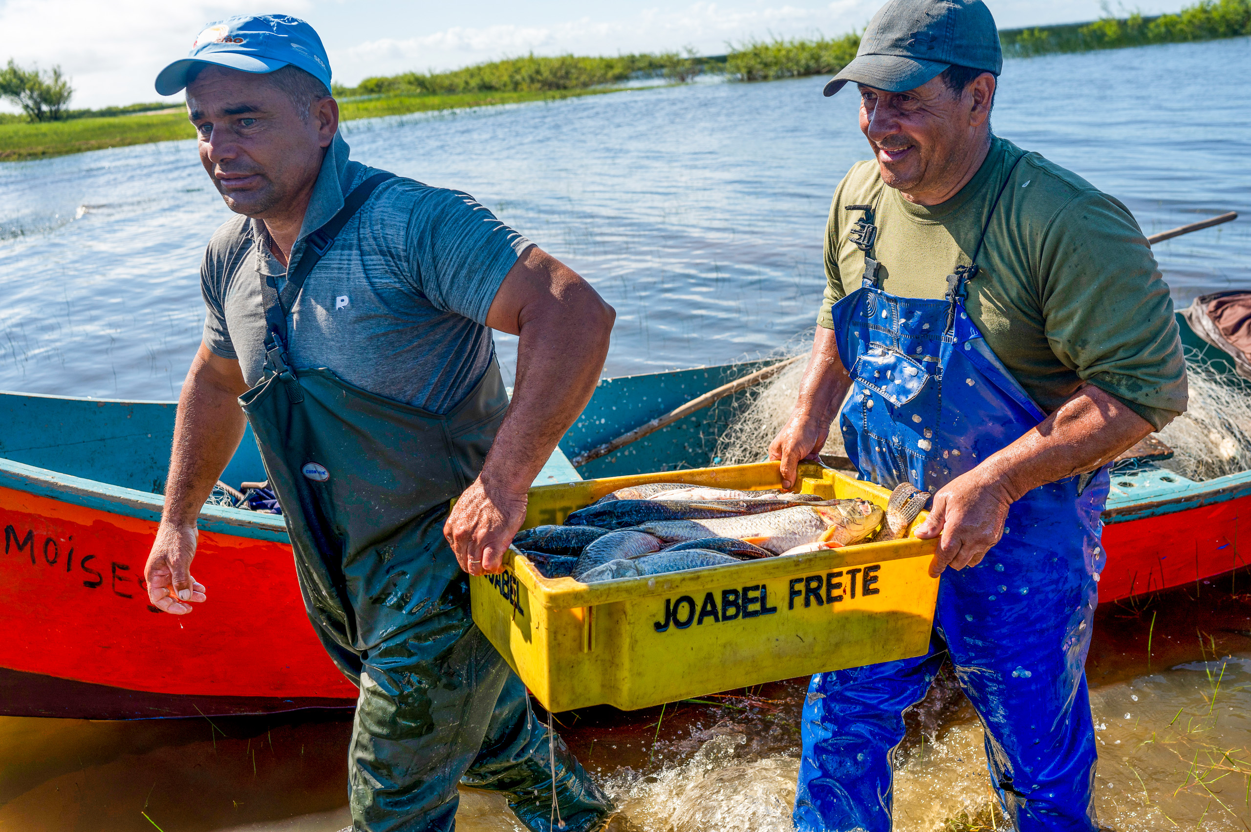 men carrying plastic bin of fish