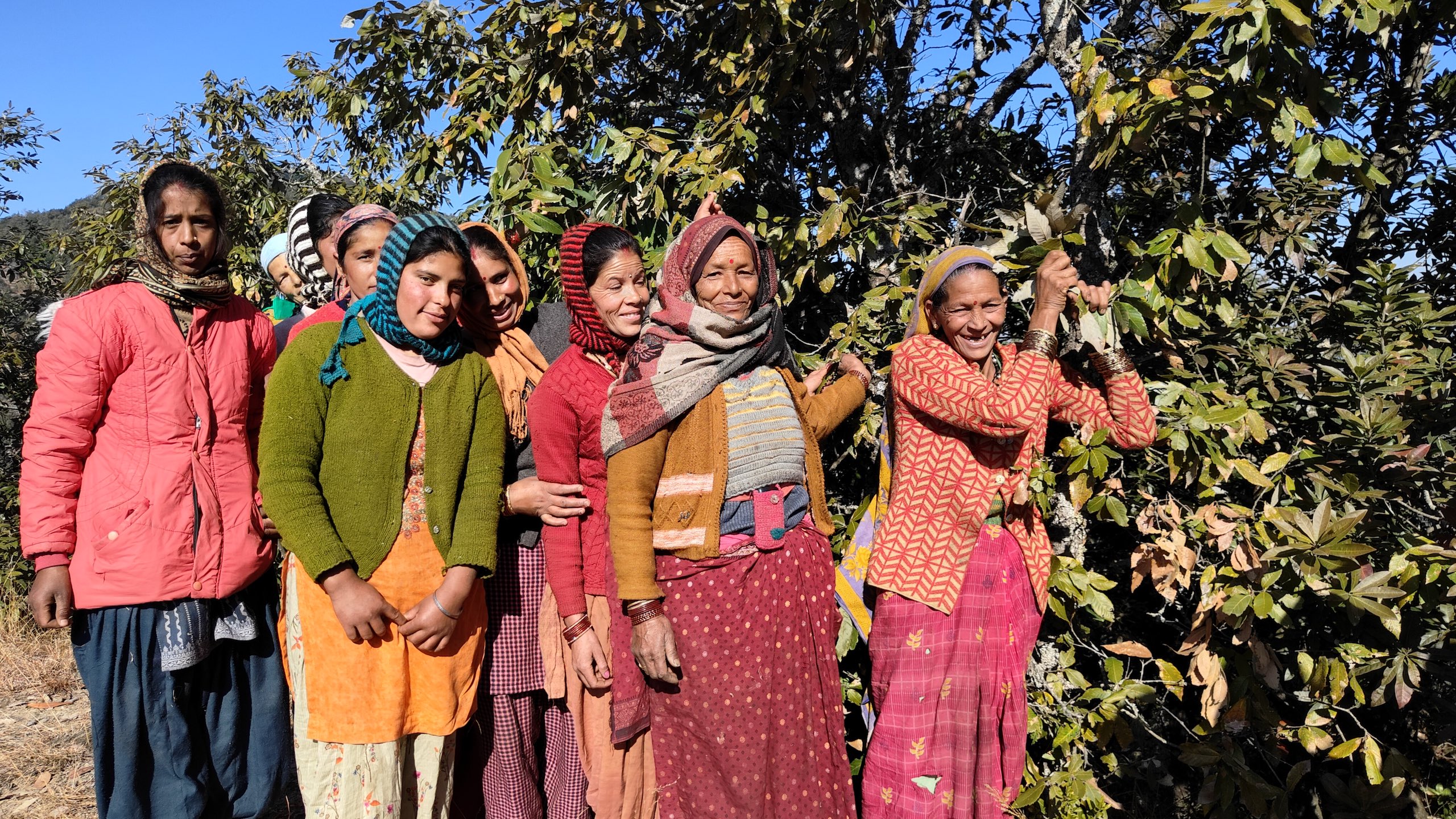 Group of women in colorful clothing standing together outdoors and holding branches in a forest setting