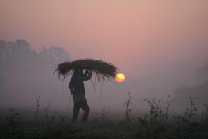 A man carrying crops on his head at sunrise