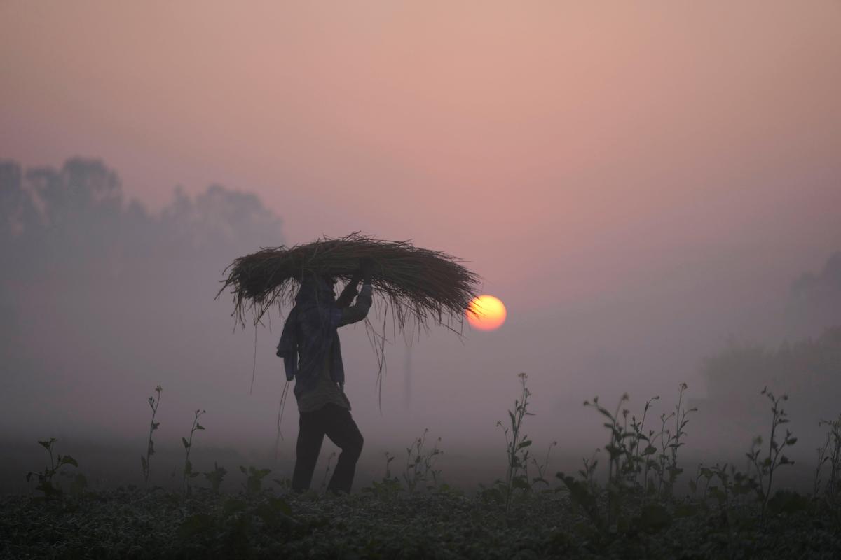 Climate change and botched policies push Pakistan toward food ...