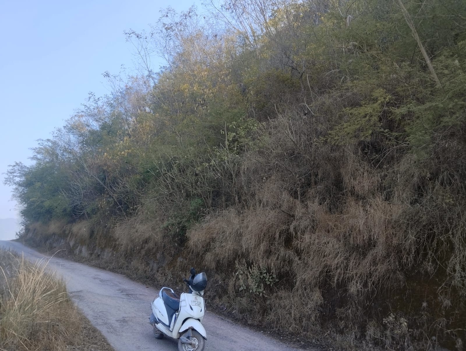 Motorcycle parked on a road below a slope covered in vegetation