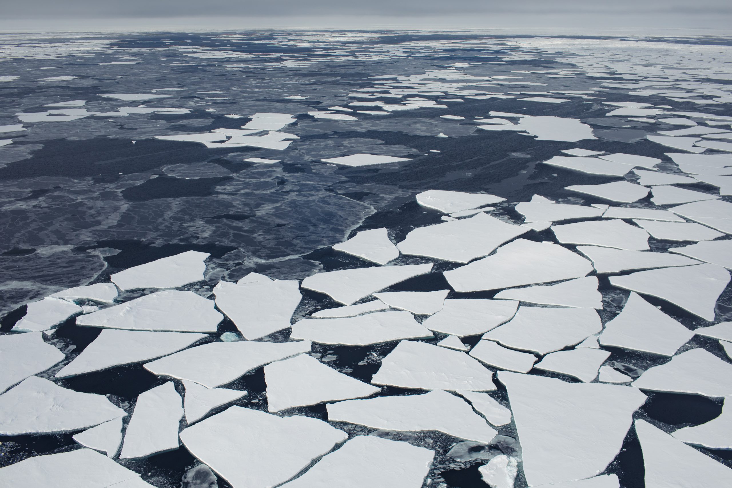 Broken sea ice 