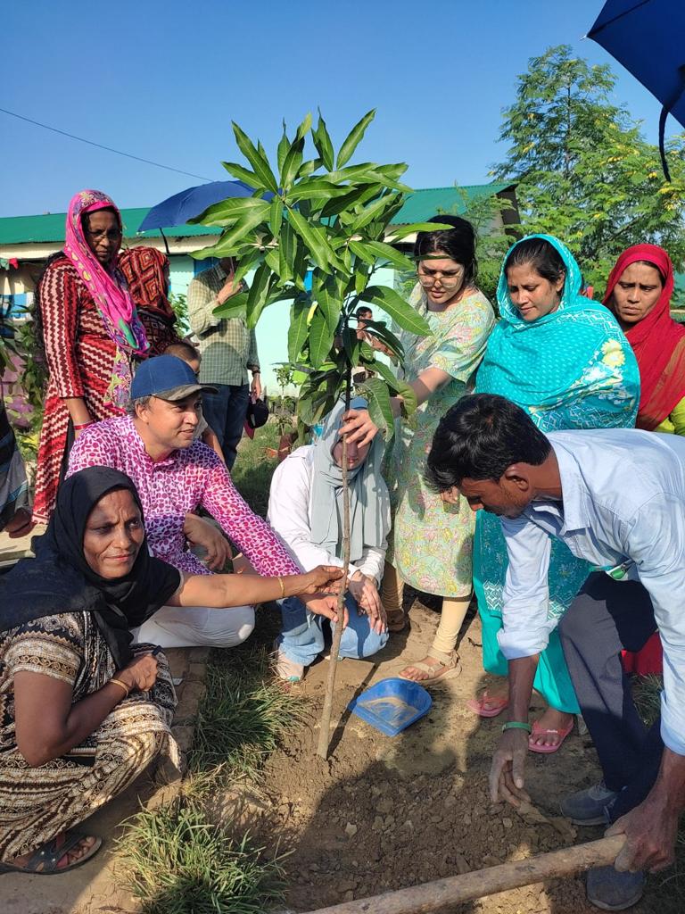 People gathered around a tree sapling