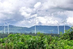 A group of wind turbines standing in a green field