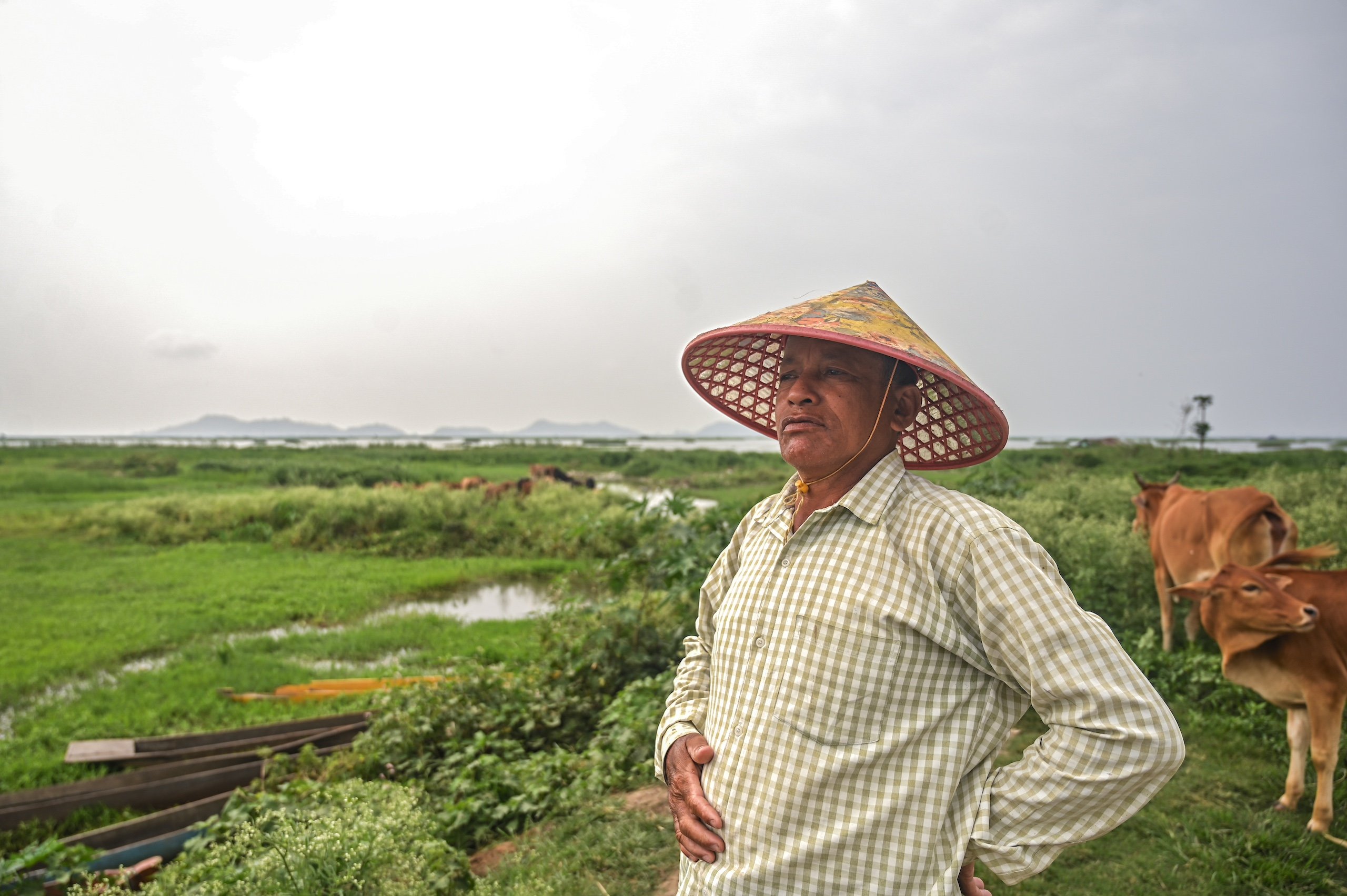 A man wearing an Asian conical hat stands in front of cows grazing in a green area, mountains in the distance