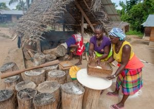 women making cassava bread outdoors