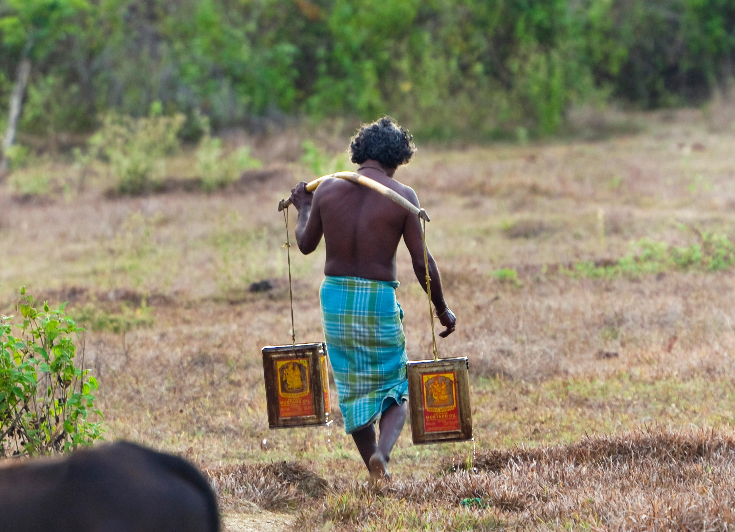 A man with carrying pole and two buckets