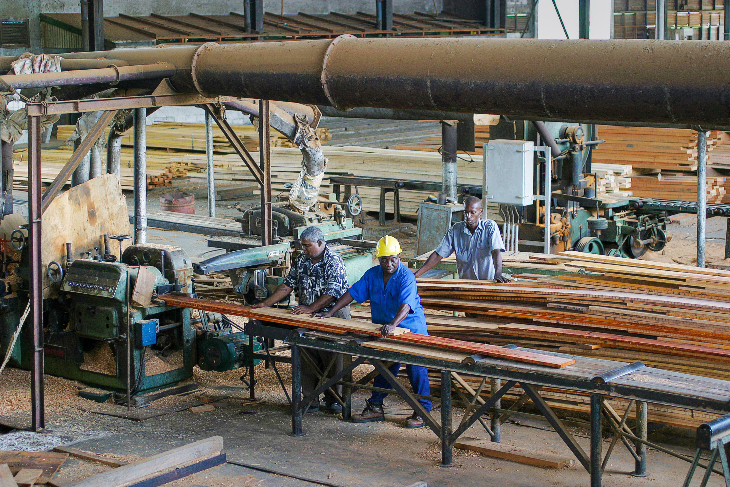 Trabajadores en una fábrica maderera