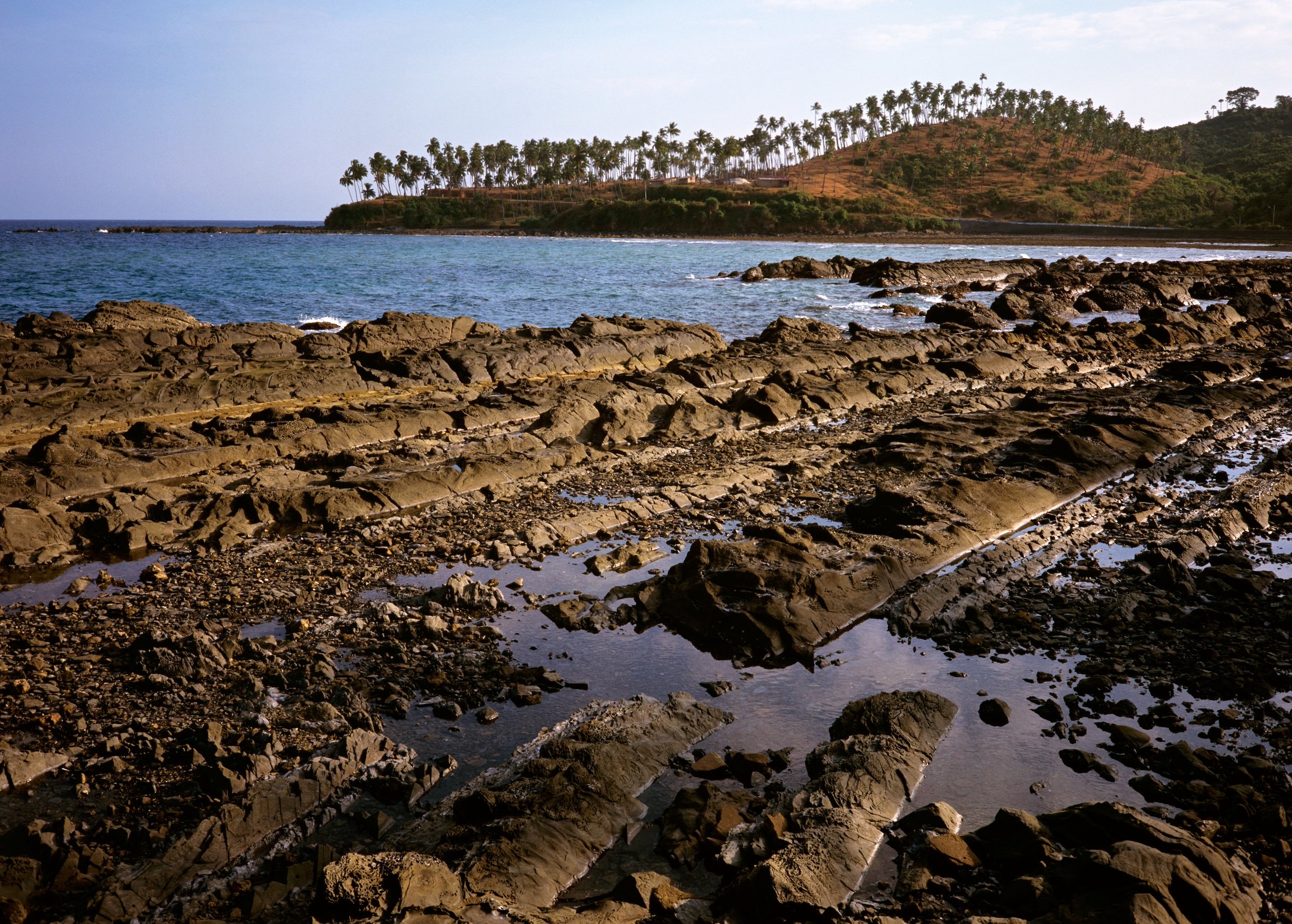 A rocky beach with lightly forested hillside in the background
