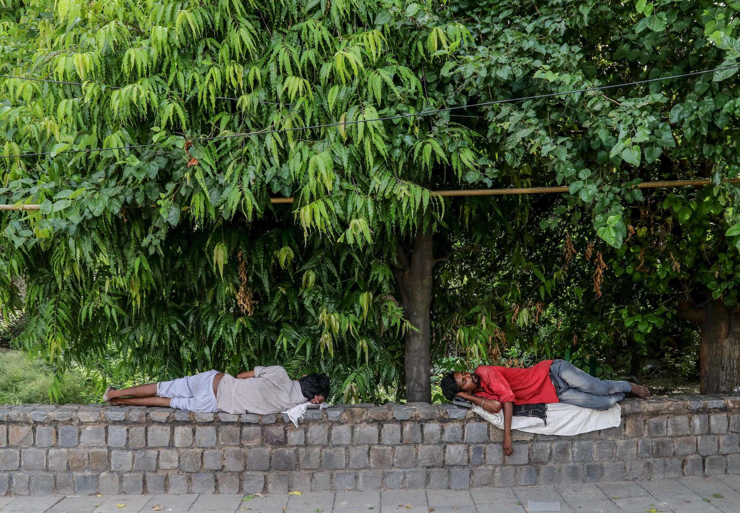 <p>People try to relax under the shade of trees as heatwaves scorch India. (Image: Alamy)</p>