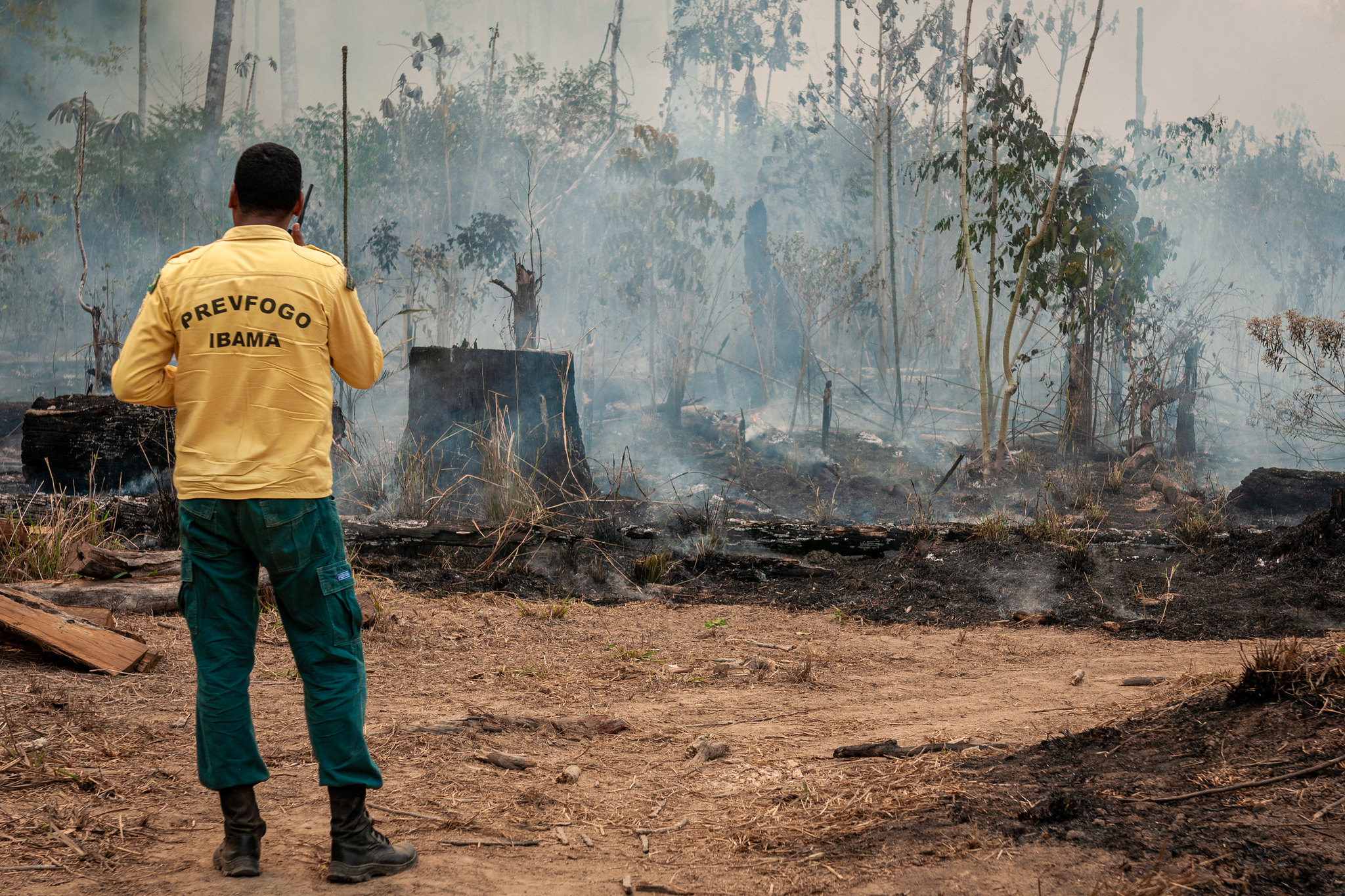 Brigadista do Ibama combate incêndio na Amazônia brasileira, com árvores cortadas e fumaça ao fundo