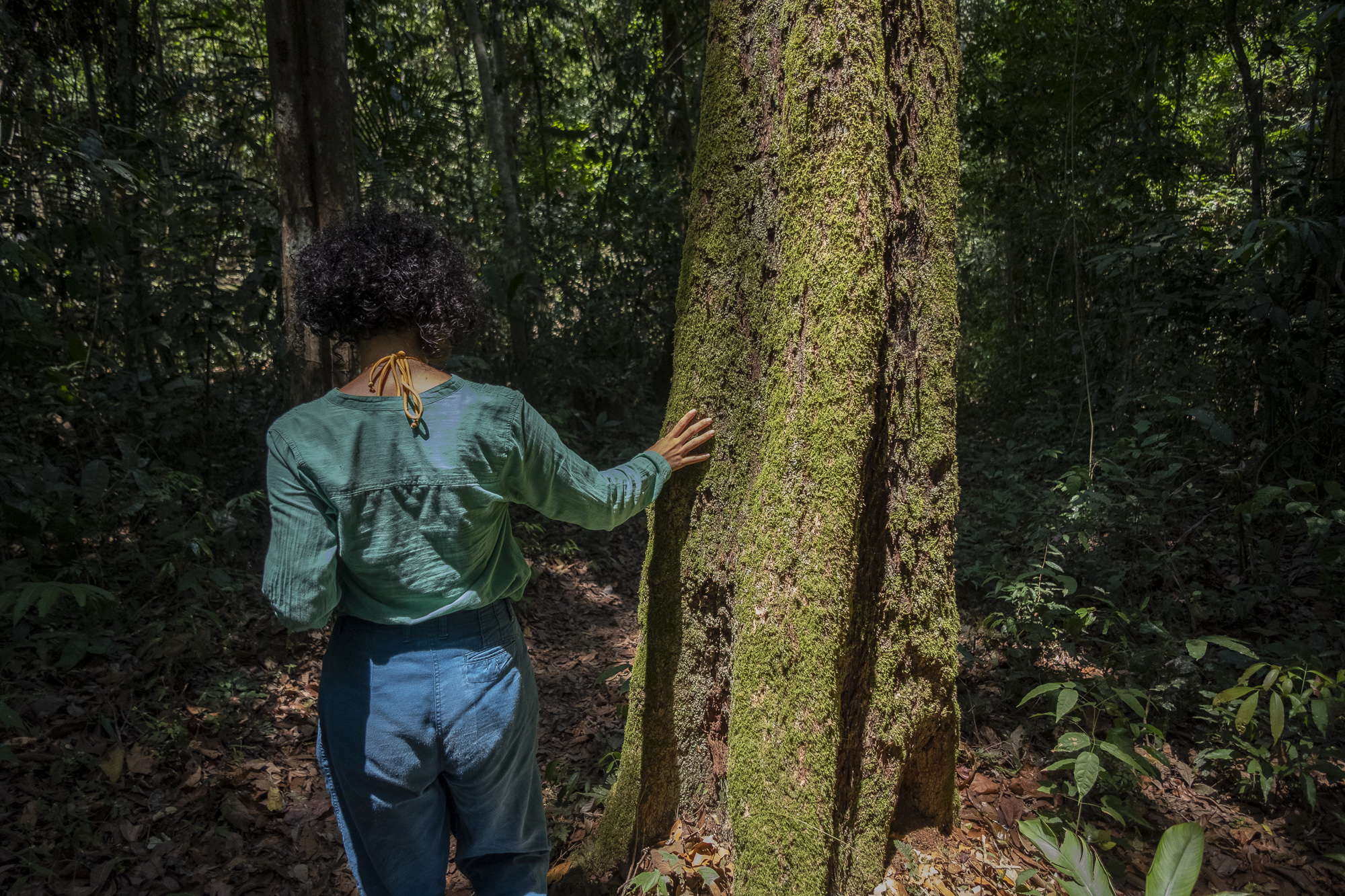 <p>Una mujer toca un árbol en el Bosque Nacional de Tapajós, en el estado brasileño de Pará. El país está desarrollando su propio régimen de comercio de derechos de emisiones de carbono, que podría atraer miles de millones de dólares para proyectos de conservación de la Amazonía (Imagen: <a href="https://flic.kr/p/2jZyUXh">Leonardo Milano</a> / <a href="https://www.flickr.com/people/amazoniareal/">Amazônia Real</a>, <a href="https://creativecommons.org/licenses/by-nc-sa/2.0/">CC BY-NC-SA</a>)</p>