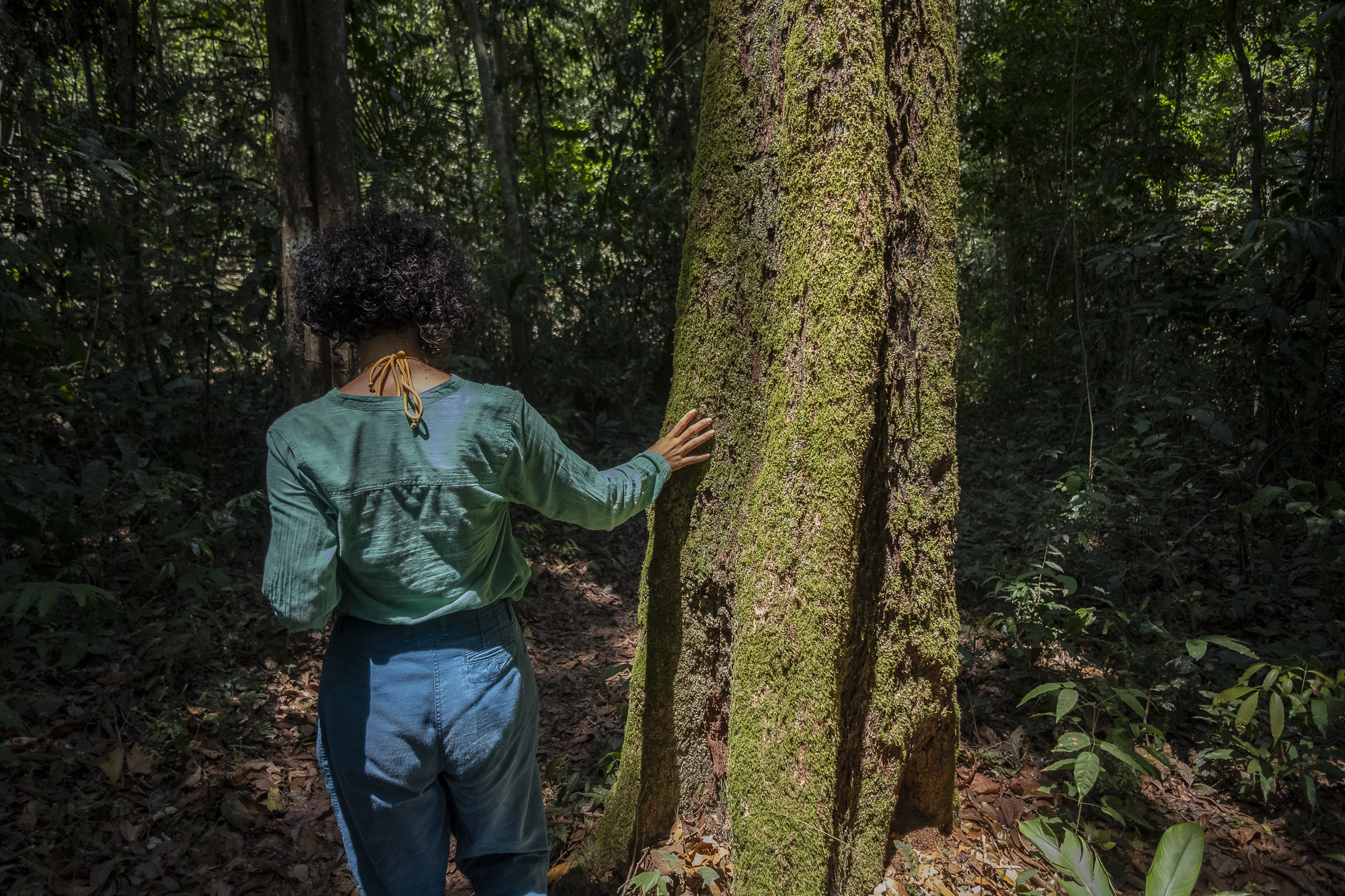 <p>A woman touches a tree in the Tapajós National Forest, in Brazil’s Pará state. The country is developing its own emissions trading scheme, which could attract billions of dollars for Amazon preservation projects (Image: <a href="https://flic.kr/p/2jZyUXh">Leonardo Milano</a> / <a href="https://www.flickr.com/people/amazoniareal/">Amazônia Real</a>, <a href="https://creativecommons.org/licenses/by-nc-sa/2.0/">CC BY-NC-SA</a>)</p>