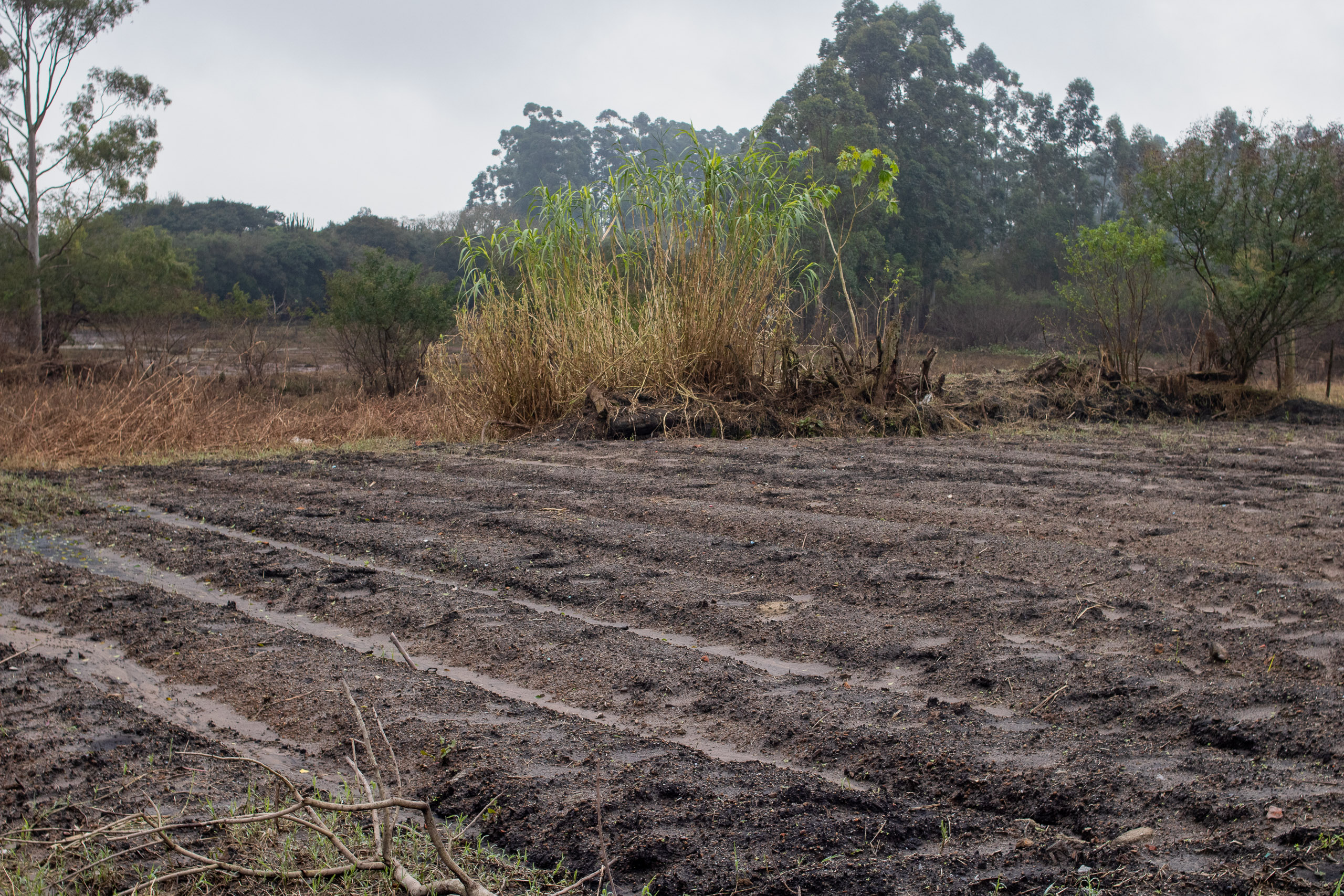 campo vacío con tierra oscura