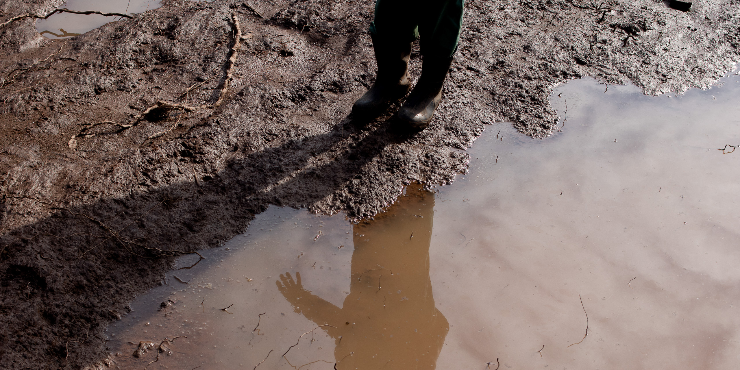 <p>Sombra do agricultor Mauro Vieira Marques em pastagem alagada de Encantado, Rio Grande do Sul. Como muitos produtores gaúchos, Marques teve a casa e quase todo o rebanho arrasados pelas enchentes que atingiram o estado em maio (Imagem: Anna Ortega / Dialogue Earth)</p>