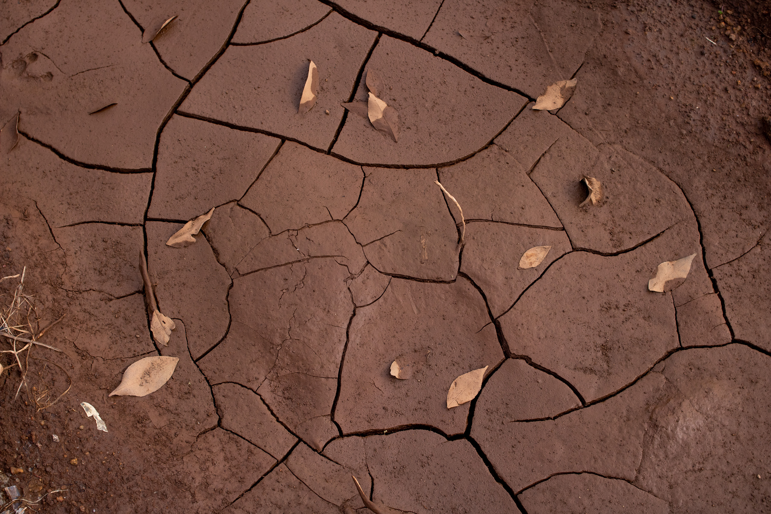 cracked soil